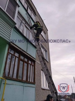 � ����������� 20 ����� ��������� ������� �� ������