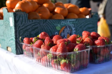 Весна — самое время заботы об организме