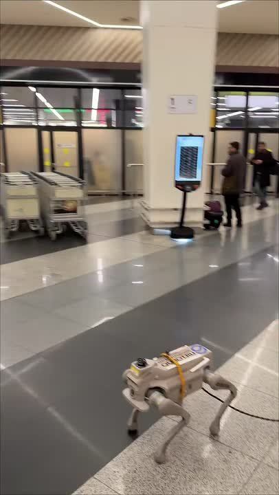 ����� �������� ���������� � ��������� � �����������