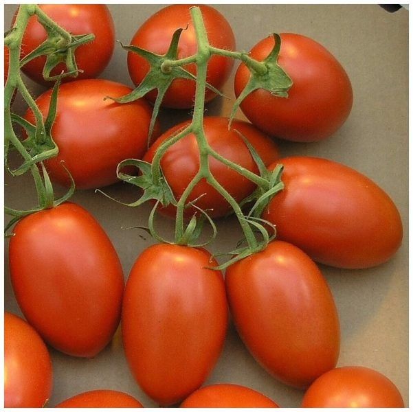 ����� �������: ������� �������� ������ � ���� � �������