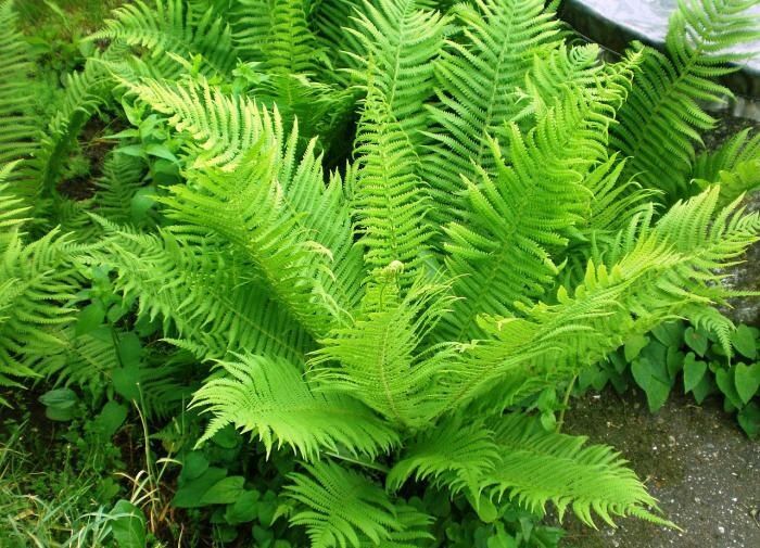 ����������� � ����� ����: ��� ������� �������� ������� ������