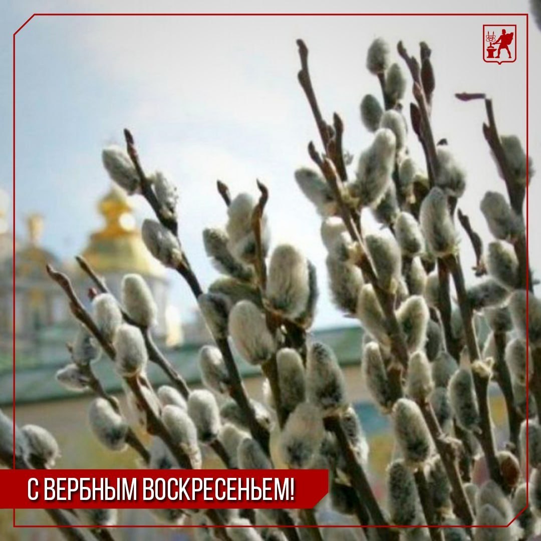 Инна Волкова: От всего сердца поздравляю с Вербным воскресеньем!