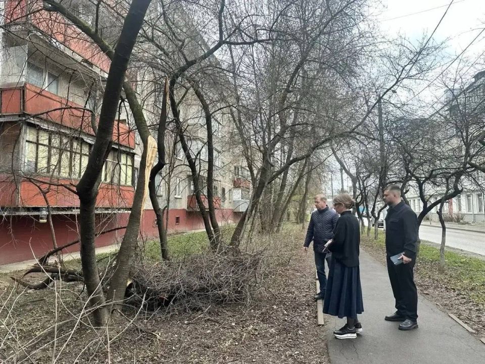 ����������� ����� ������ ������ ����������� ������� �������� ����� ����������