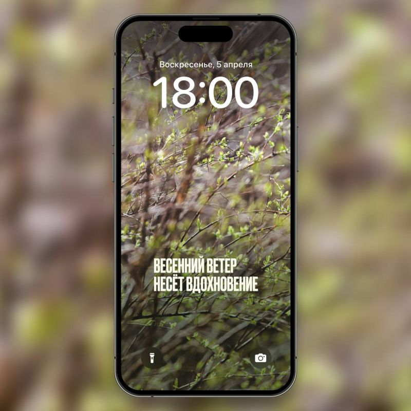 ����� � ����� ��������. . ������ � ����� ����������� �������