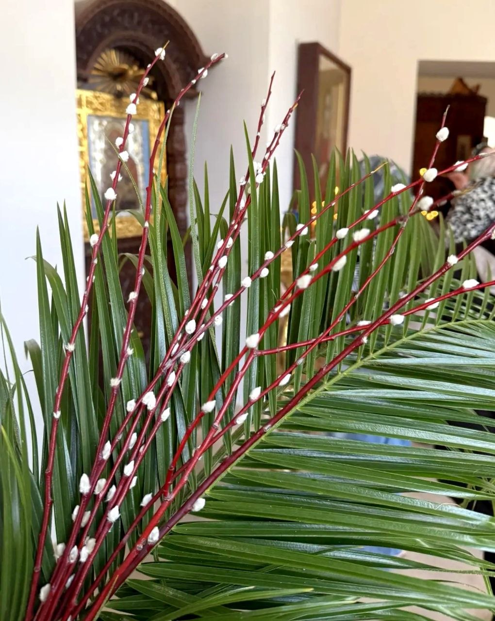 Сегодня мы встречаем один из главных весенних праздников — Вербное воскресенье