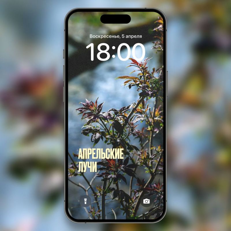 ����� � ����� ��������. . ������ � ����� ����������� �������