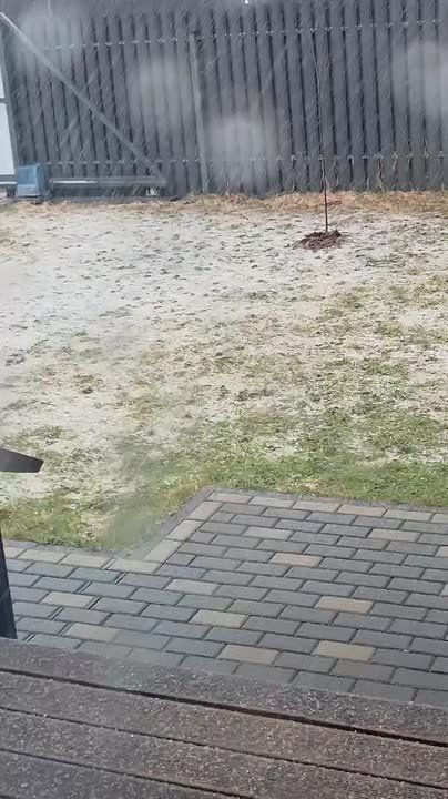 ���� ������ ������� ��������� � �����������, ������� ����� � ����