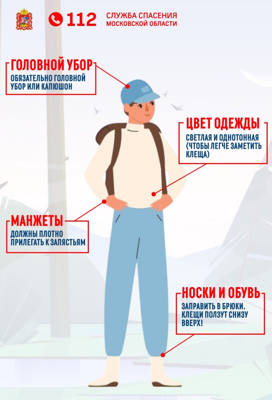 Сезон активности клещей в Подмосковье начался в конце марта