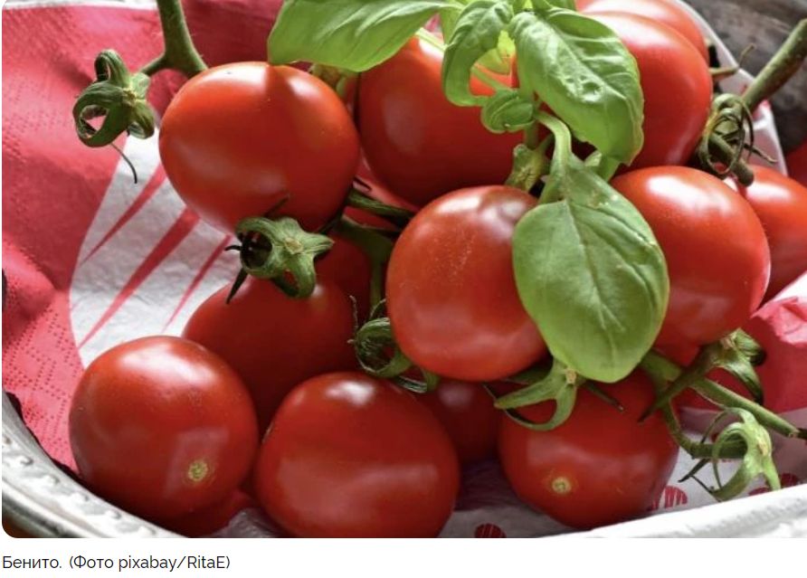 ������ ����� �������: ����� ��� ������ ������