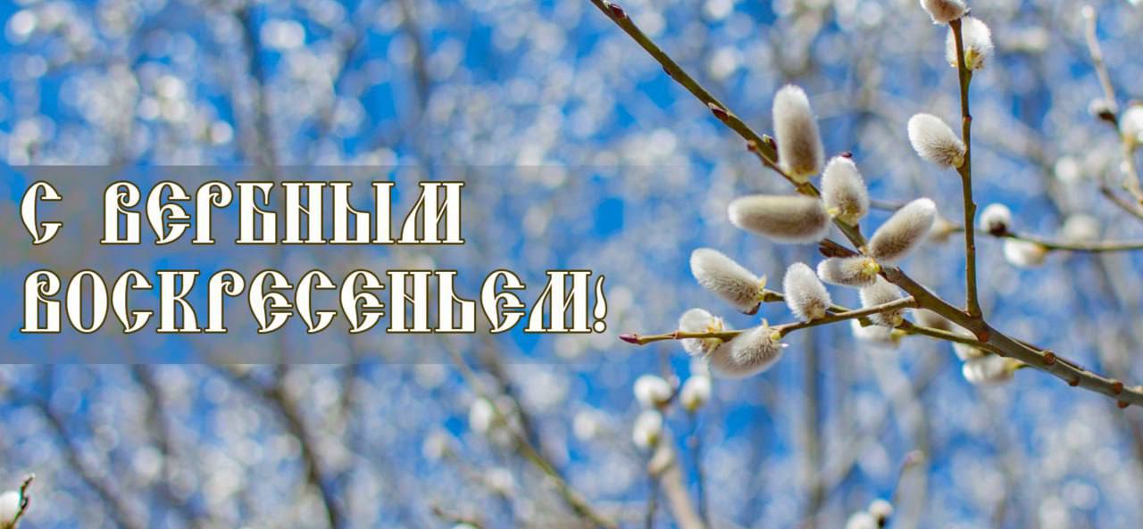 Татьяна Витушева: Сегодня православные христиане отмечают один из главных праздников Вход Господень в Иерусалим, который имеет и ещё одно название - Вербное воскресенье