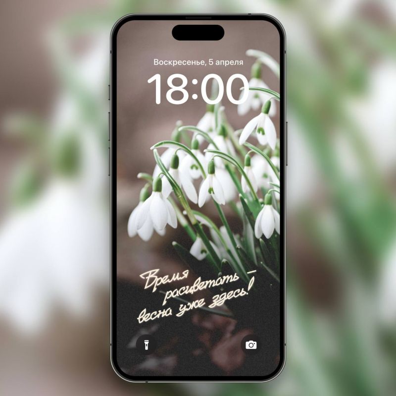 ����� � ����� ��������. . ������ � ����� ����������� �������