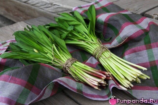 ��� � �������: �������� �������� � ���������� �������