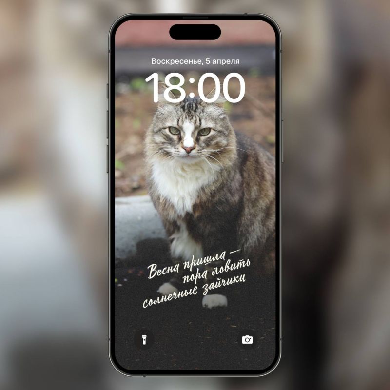 ����� � ����� ��������. . ������ � ����� ����������� �������