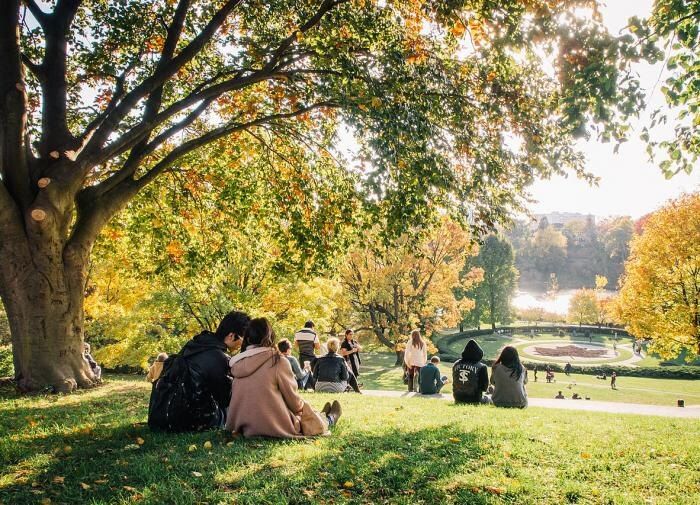 ������� ������ ��������: ��� �� �������� ������ ������