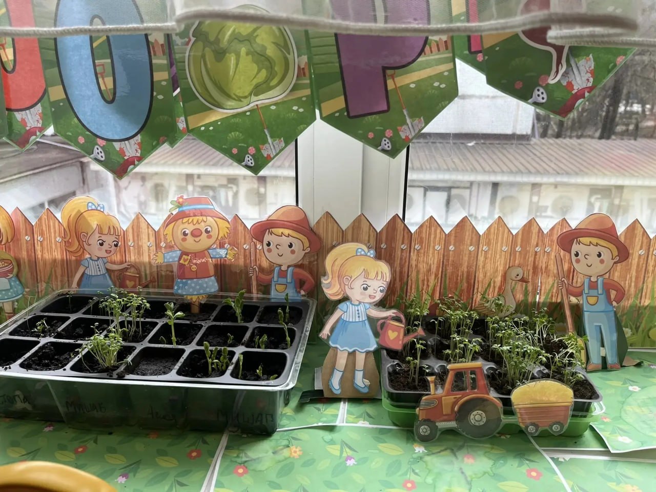 В дошкольных отделениях Раменской гимназии расцвели огороды на подоконниках