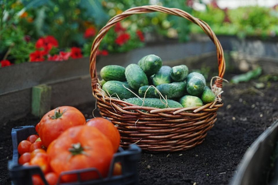 ������ ������ ������ � �� �����, � ������ ��������� ��� ������ ����