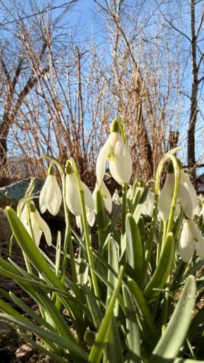 � �����, �� ���!. ������ 6 ������: