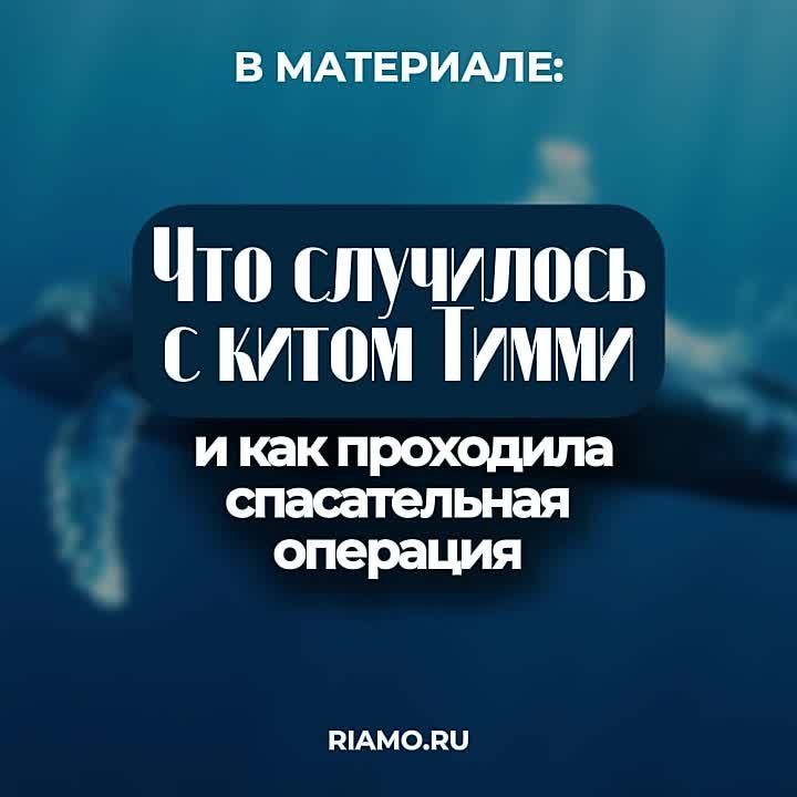 ����� ������ ��������������� ��� �������� ��������� ���� � ������ � ����� ������� ������� �������� � ��� ���������� ������, ������� � ��������� �����