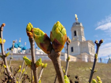 ������ ����, ��������!. ������� ���� ������ ���������� �� +8�C, �� ������ ����������� ����� � ���������� � ����� �������, ����� ���������