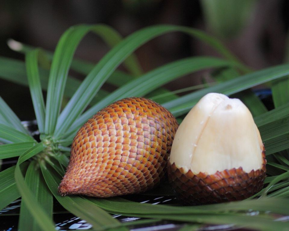 ����� �������� ������: ������������� ����������� � ��� ������