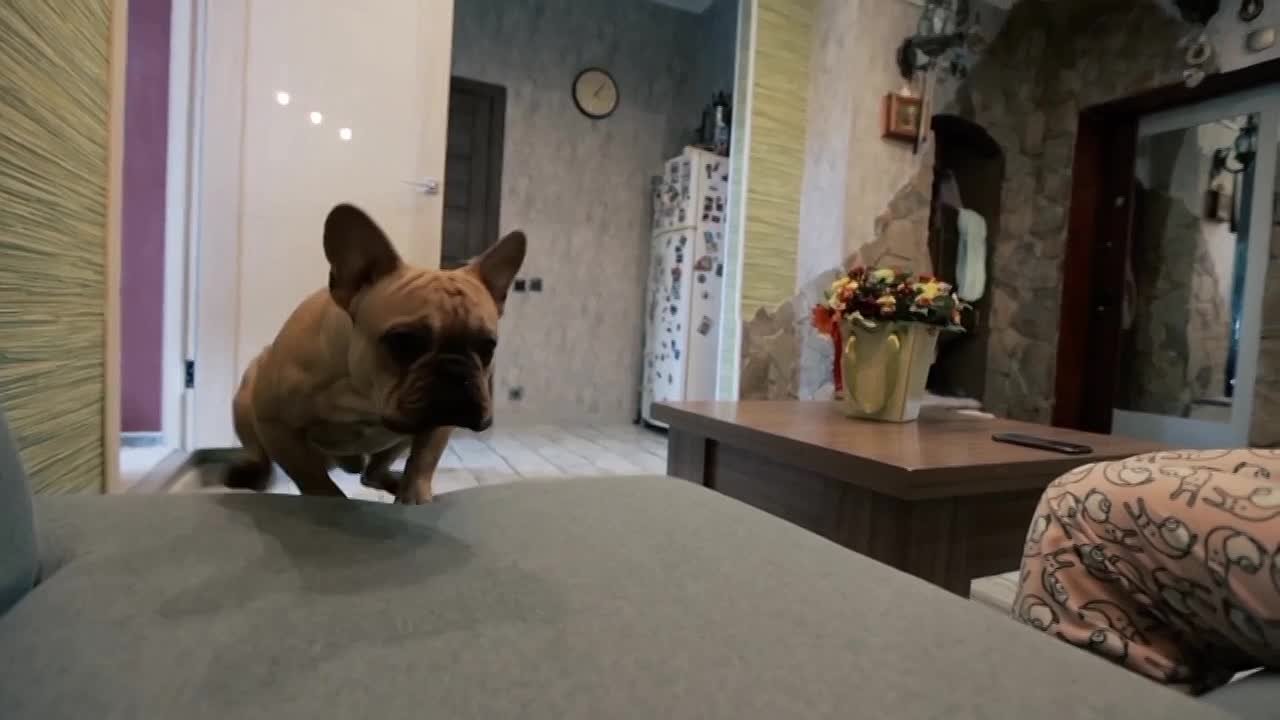 Несоблюдение техники безопасности при установке и обслуживании газовых приборов может представлять серьезную угрозу жизни и здоровью окружающих