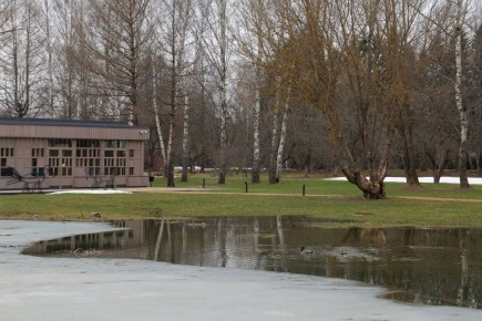 «Суть в том, что весна летит. Публика, которой ужасно надоело тратить деньги на дрова, ходить в тяжелых шубах и десятифунтовых калошах, дышать то жестким, холодным, то банным, квартирным воздухом, радостно, стремительно и...
