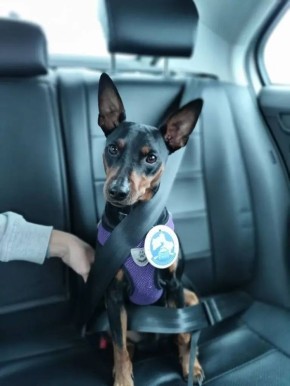 � ��� ��� ���������� ������������ �������� ��������, �� ������� �������� �� ���������� ����� ���� ��������