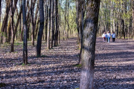 ������ ����, ��������!. ������� ����������� ������� ������� +10 ��