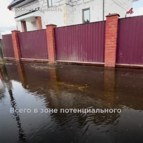 ����� ������ ������. ������ ����������� ������� � ��������� ���������