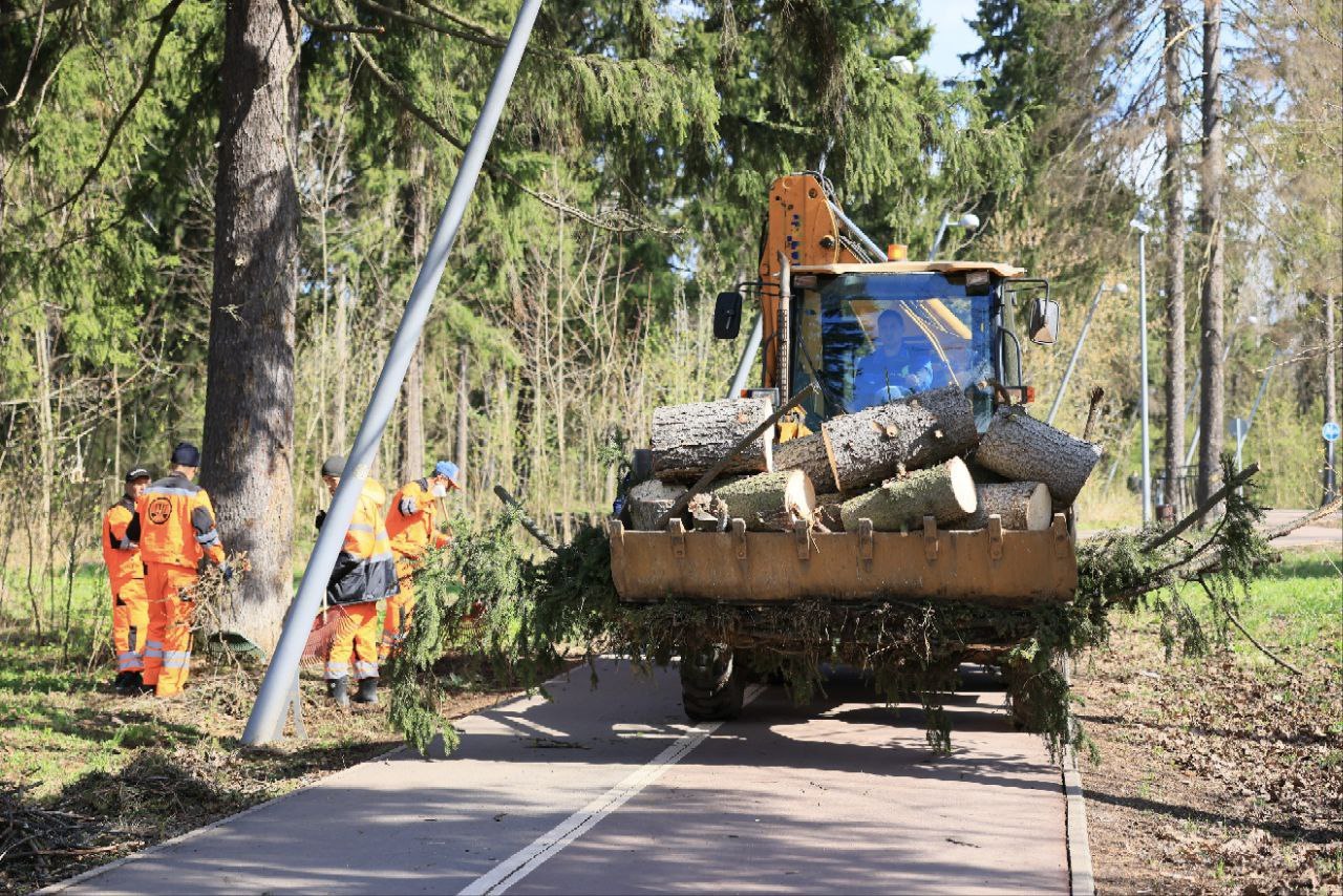 Два массовых весенних субботника пройдут в Королёве в апреле Два массовых весенних субботника пройдут в Королёве в апреле