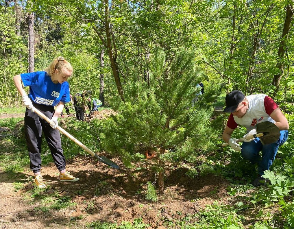 Два массовых весенних субботника пройдут в Королёве в апреле Два массовых весенних субботника пройдут в Королёве в апреле
