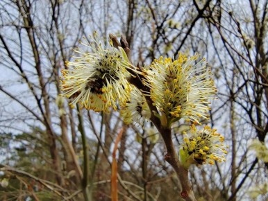 ������ ����, ��������!. ������� ���� ��� ��� +7�C �, ��������, ��������� �����