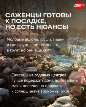Как защитить огород от неожиданных заморозков весной?