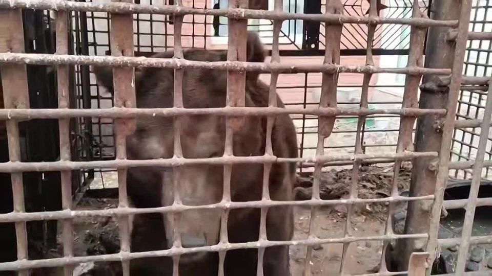 ������� ������ � ������ ������ �� ����� � ����������� �������