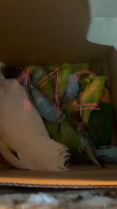 ������ �������� �������� �������� � ���������� �������� � ������������� �������