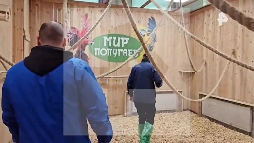 Больше 50 попугаев отравили в частном зоопарке в Ленобласти