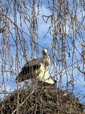 ������ ����, �����������!. ������� 8 ������, �����