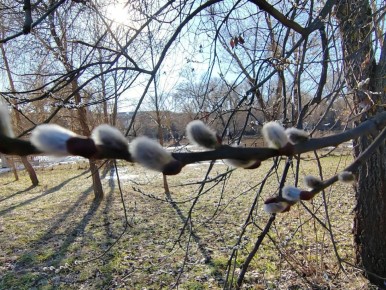 ������ ����, ��������!. ������� ���� ������ ���������� �� +6�C, �� ������ �����������: ������ �������� �����