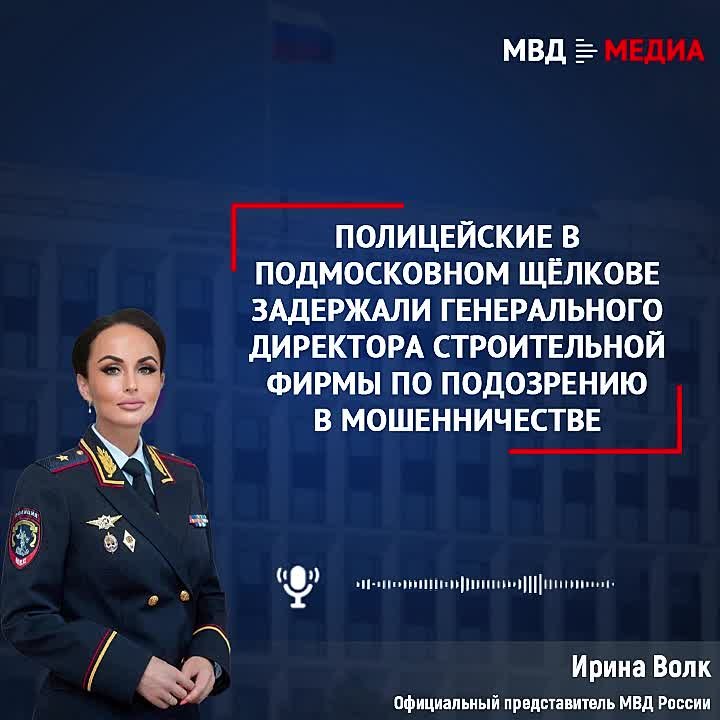 Полицейские в подмосковном Щёлкове задержали генерального директора строительной фирмы по подозрению в мошенничестве