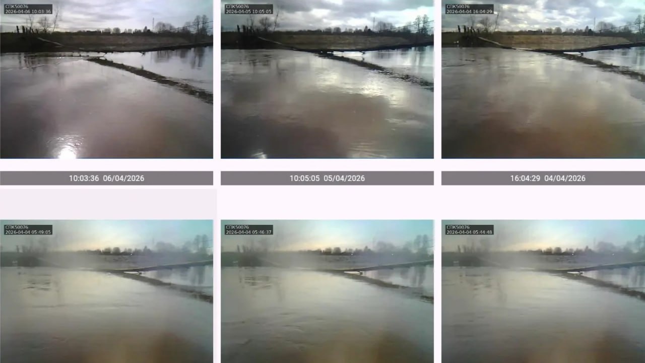 Паводковая ситуация в Дмитровском округе: река Сестра Паводковая ситуация в Дмитровском округе: река Сестра