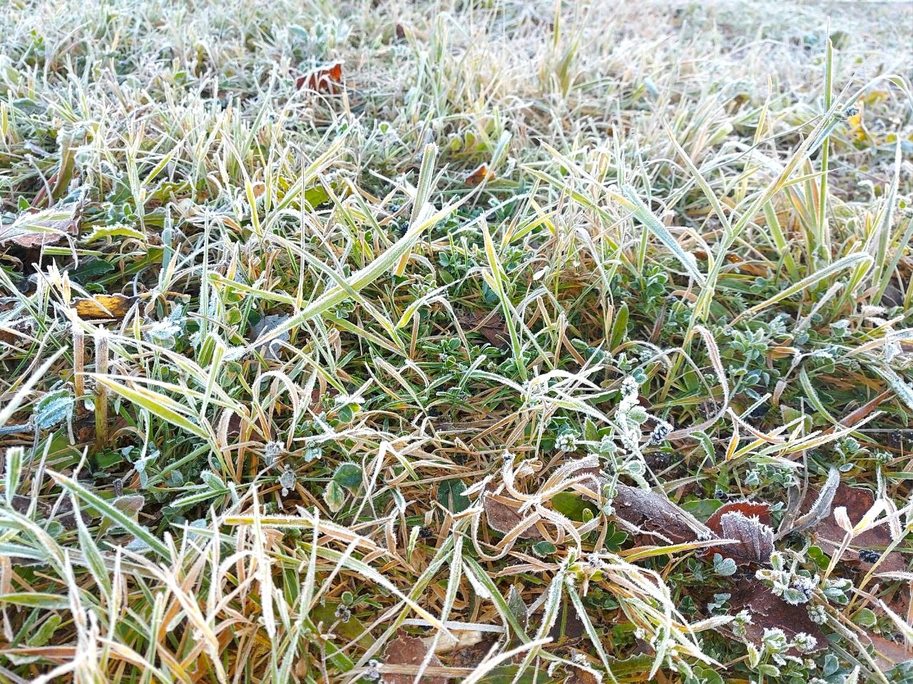 Сегодня с 21:00 до 21:00 9 апреля в Московской области ожидается отложение мокрого снега на проводах и деревьях, гололедица