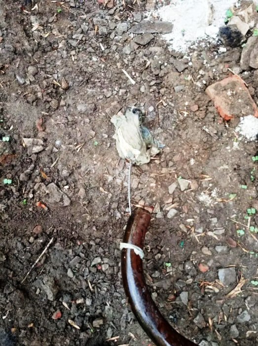 Продолжаем держать вас в курсе работы коммунальных служб Пушкинского Продолжаем держать вас в курсе работы коммунальных служб Пушкинского