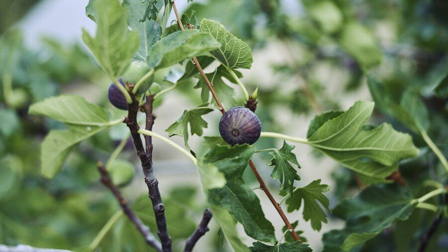 ��������, ��� ����! ����� � ������������ ������� ����� ��������� � ���� �� ���� � �����������