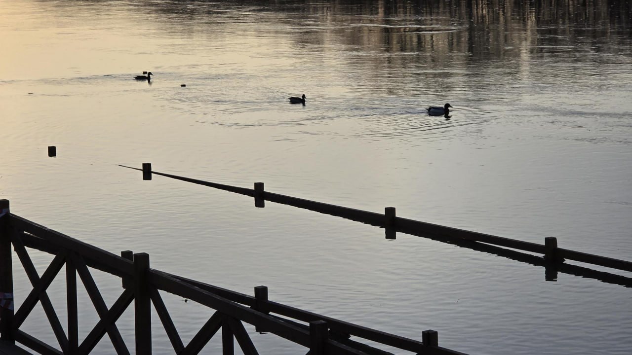 Уровень воды в реках Городского округа Коломна медленно, но стабильно понижается