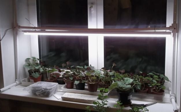 ��� ��������� ������� ������������ ��� ������� ������� �� �����������