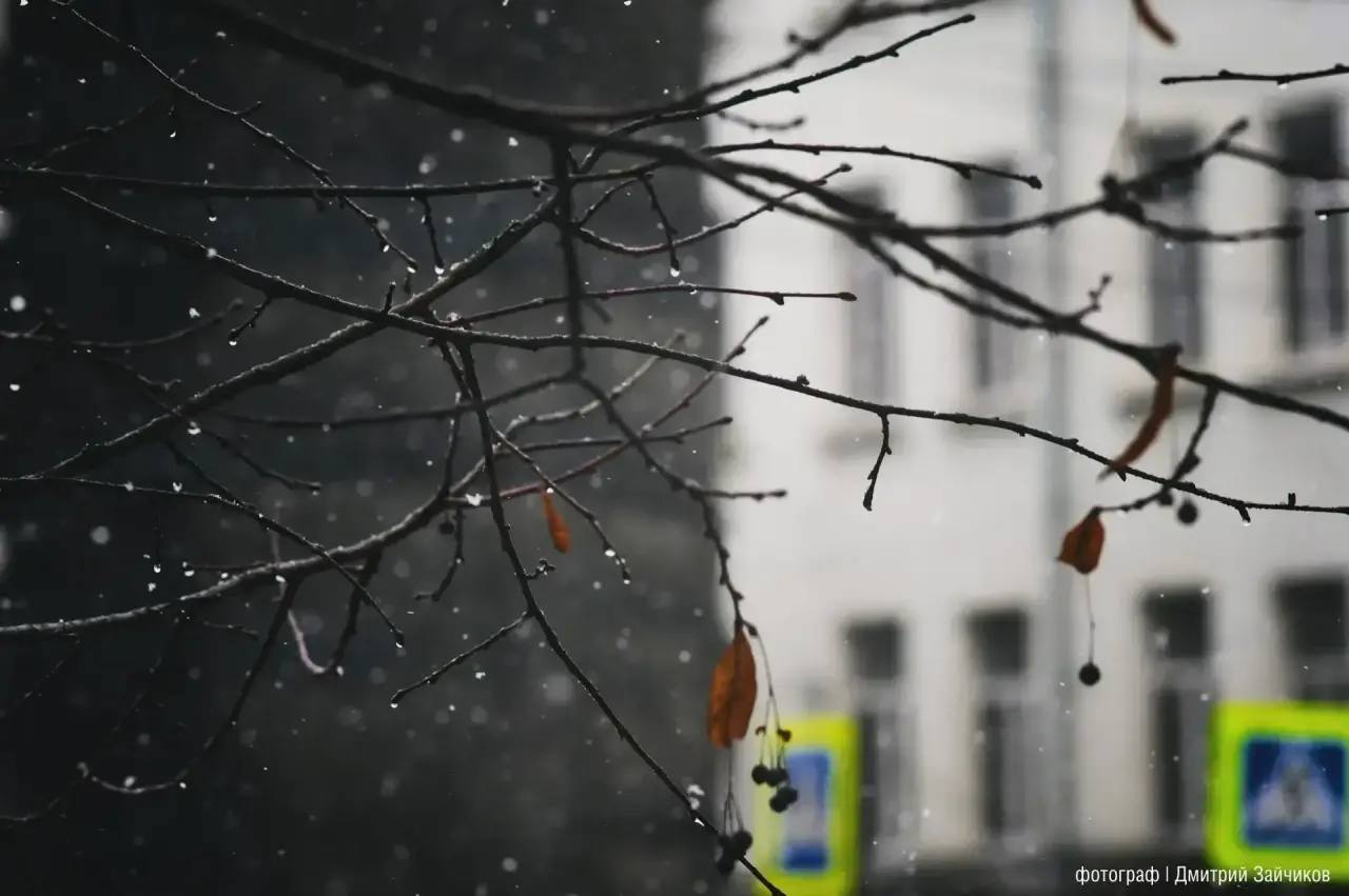 МЧС предупреждает. В период с 21:00 9 апреля до 21:00 10 апреля местами в Московской области ожидается отложение мокрого снега на проводах и деревьях, гололедица