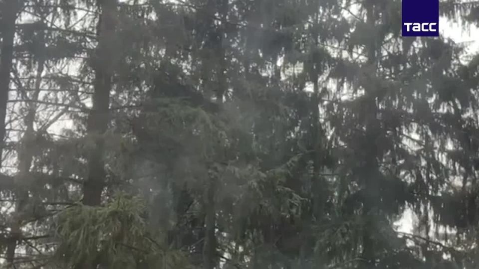 ������ ���� ���� � ������, �������� ����