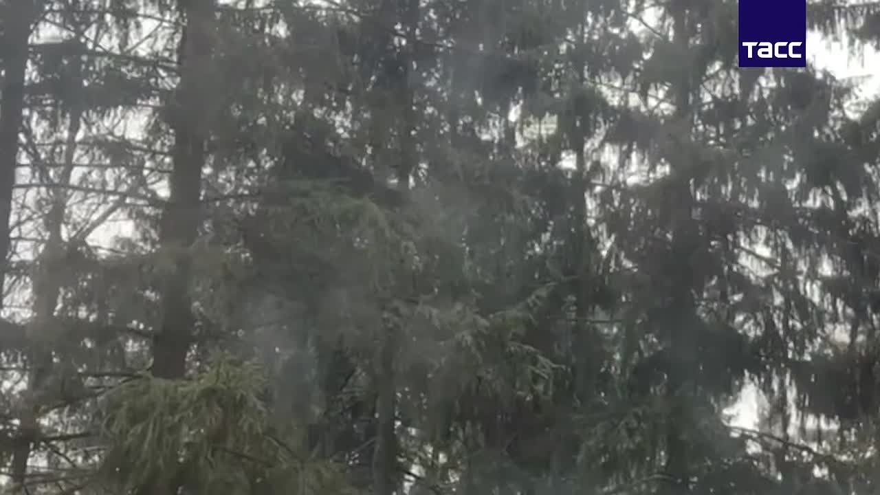 Мелкий снег идет в Химках, сообщает ТАСС