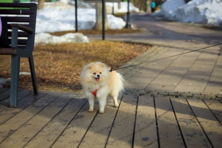 �� ���������� ���������� ������ ������������� ���������� �������� ���������� ������ ��������� �������� ��������