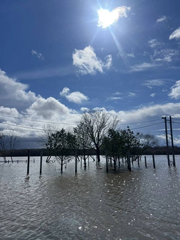 ���������� �������� � ��������� � �����